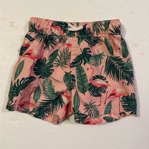 Baby boys flamingo swim shorts
